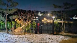 강화펫비하우스 - 0