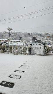 강화펫비하우스 - 4