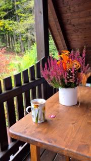 Apartmán U Vachtů - První Patro - 5