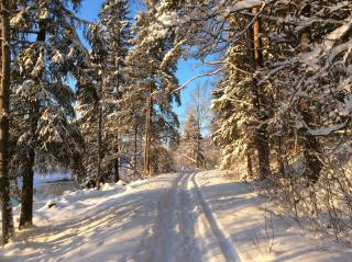 Kivi Turismitalu - 9