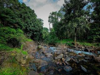 Prakrithi Luxe Retreat - 9