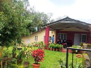 Chayagruha Homestay- Home in the shade - 8