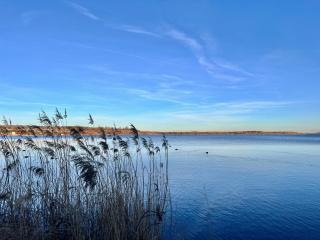 Wohnpark am Geiseltalsee für bis zu 12 Gäste - 8