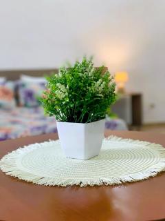 Il Fico d'India - Home Salento com - 6