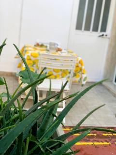 Il Fico d'India - Home Salento com - 2