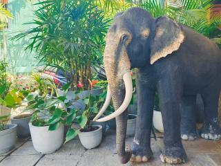 kandy lake reach hotel - 4