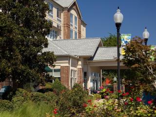 Hilton Garden Inn Albany - 8