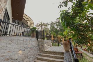 Valley De Mango Hue - 8