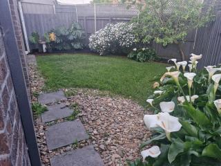 Begonia Residence - A Walk to Deakin University - 4