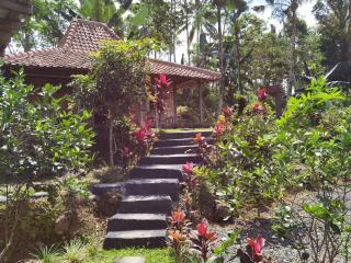 Homestay Ijen Lemon House - 2