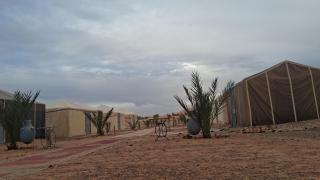 Desert Camel Trek - 3