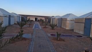 Desert Camel Trek - 4