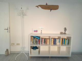 Bilocale piano terra Marina di Cecina - 4