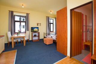 Yellow Ski Apartments - Rokytnice nad Jizerou - 8