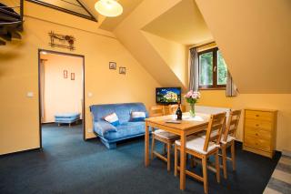 Yellow Ski Apartments - Rokytnice nad Jizerou - 5