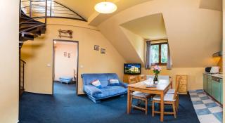 Yellow Ski Apartments - Rokytnice nad Jizerou - 4