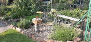 Ferienwohnung Schäfer - 1