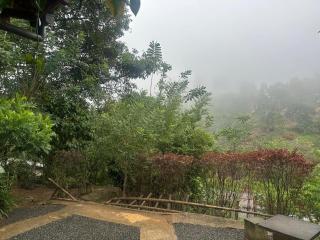 Ella Hide Forest Cottage - 8