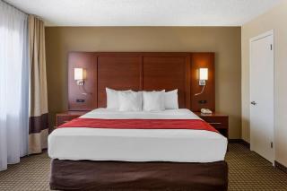 Comfort Inn & Suites Rochelle - DeKalb - 9