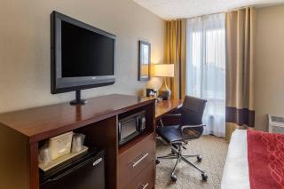 Comfort Inn & Suites Rochelle - DeKalb - 7