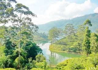 Hatton colonial bungalow 1927 - 4