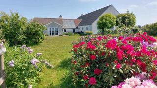 Holiday In A Cozy Farmhouse With Horses - 1