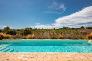 TD Trulli Perla Bianca Trulli w Pool Vineyards - 9