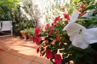 YR Apartments Milan - Porta Venezia - 5