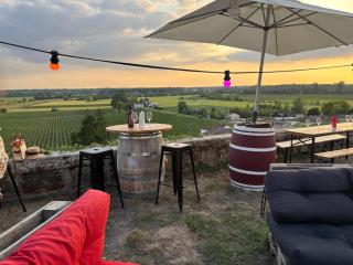 Domaine St Gilles - Maison entièrement climatisée, proche activités aquatiques et équestres - 4