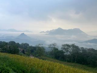 Simfarmstay - 6