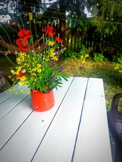 Siedlisko Urszulanka Domek - 1