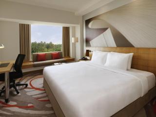 Novotel Hyderabad Convention Centre - 3