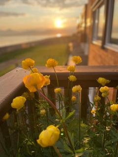 House with Ocean and Mountain Views - 4