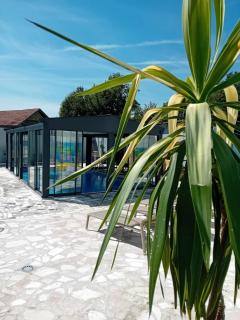 Gyps Vikendica with Swimming Pool and Sauna 2 - 9