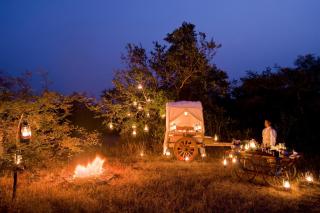 Pashan Garh Panna National Park - A Taj Safari - Panna - 8