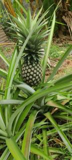 ROB'S INN Groupstay - 6