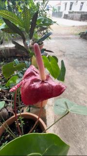 ROB'S INN Groupstay - 5