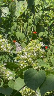 ROB'S INN Groupstay - 3