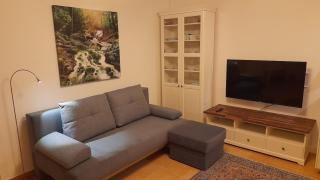 Specially equipped mini apartment! - 6