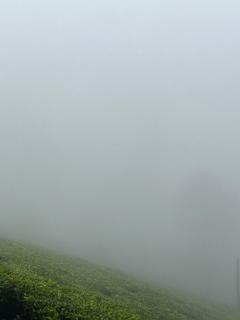 Misty cloud homestay - 4