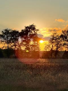 Gîte Domaine d'Hybère - 5
