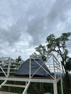 Bee tree adventure park tent stay - 0