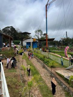 Bee tree adventure park tent stay - 4