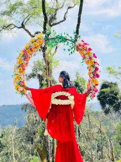 Bee tree adventure park tent stay - 1