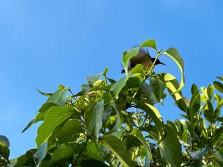 Villa unique view unawatuna - 1