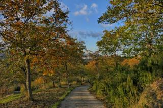 La Bella Addormentata - 8