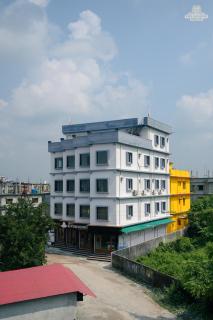 The Golden Dream - 3