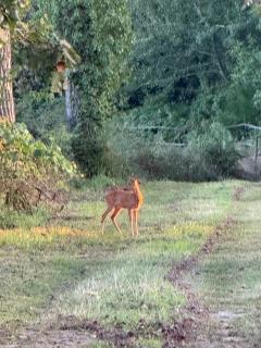 Gîte Domaine d'Hybère - 9