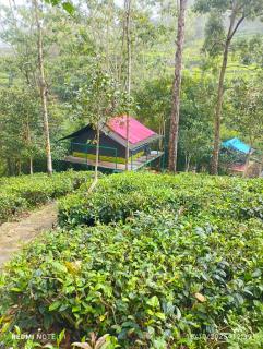 Organic Farmers Tent & Trekking - 0