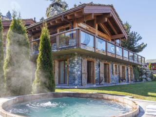 Chalet Chalet Gerritsen by Interhome - 7